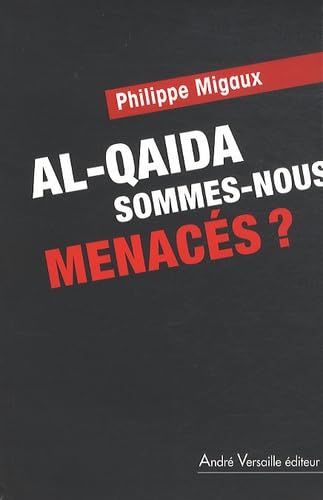 Al-Qaida, sommes-nous menacés ? 9782874951862