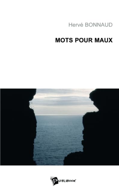 Mots pour maux 9782748324341