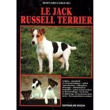 Le jack russell-terrier 9782732821481