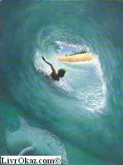 L'homme des vagues 9782070551125