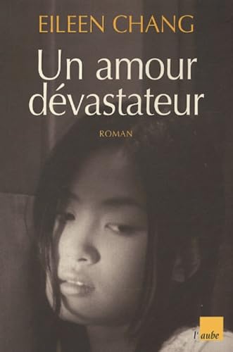 Un amour dévastateur 9782752600868