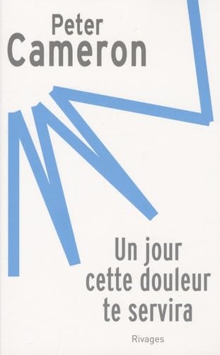 Un jour cette douleur te servira 9782743618193