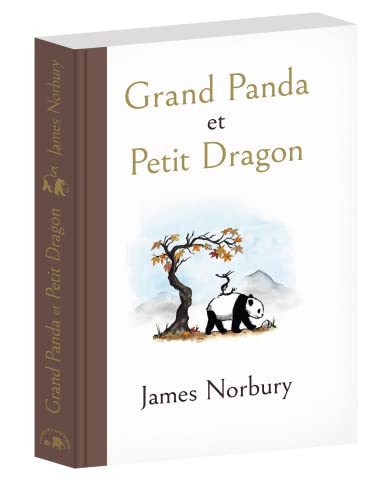Grand Panda et Petit Dragon 9782019462314