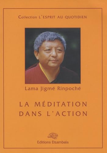 La méditation dans l'action 9782906940123