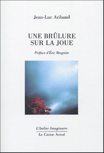 Une brûlure sur la joue 9782859205867