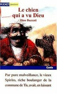 Le Chien qui a vu Dieu 9782266094412