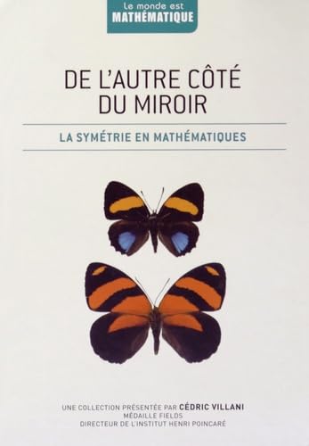 De l'autre côté du miroir: La symétrie en mathématiques 9782823701135