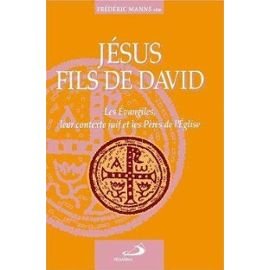 Jésus, fils de David : les évangiles, leur contexte juif et les pères de l'église 9782712204761