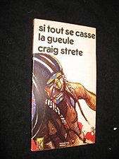 Si tout se casse la gueule 