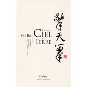Entre ciel et terre : Sur les traces de l'écriture chinoise 9782702873311