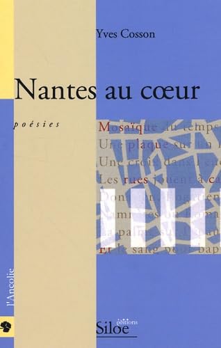 Nantes au coeur 9782842313739