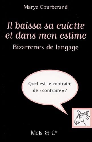 Bizarreries de langage : Il baissa sa culotte et dans mon estime 9782913588233
