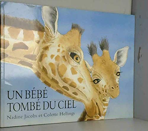 Un bébé tombé du ciel 9782211045353