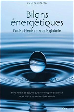 Bilans énergétiques Pouls Chinois et santé globale 9782286126896