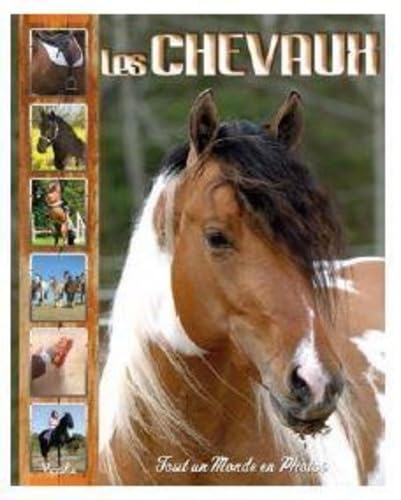 Les chevaux 9782753068063