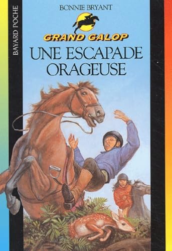 Une escapade orageuse 9782747003285