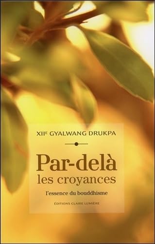 Par-delà les croyances - L'essence du bouddhisme 9782354540340