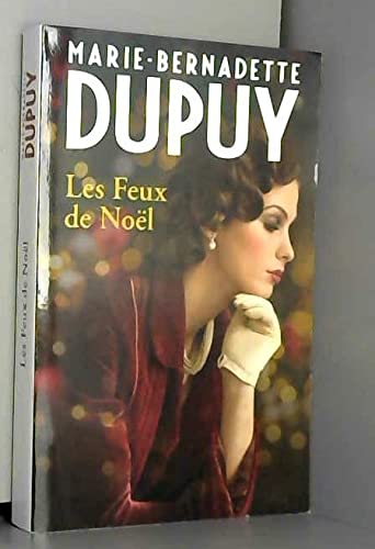 Les feux de Noël 9782298167573