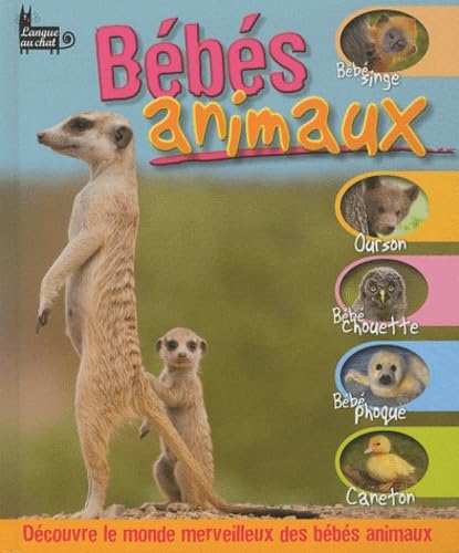 Bébés animaux 9782874318870