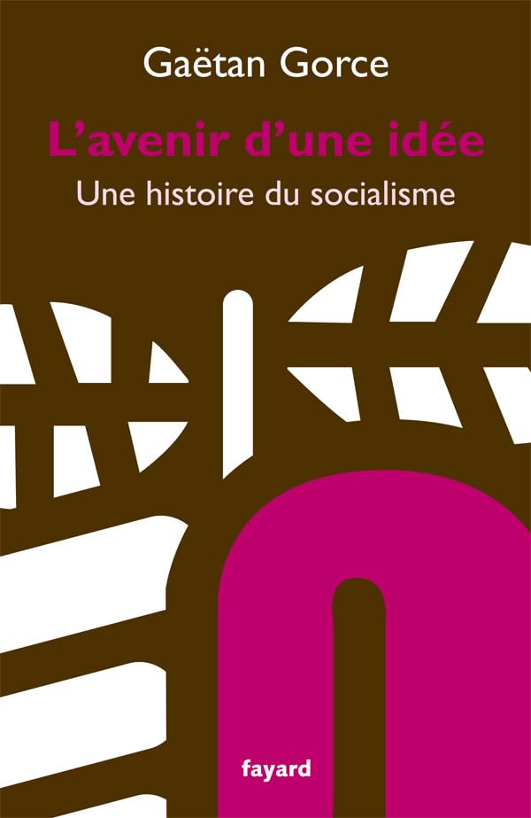 L'avenir d'une idée: Une histoire du socialisme 9782213661384