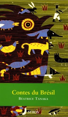 Contes du Brésil 9782748503937