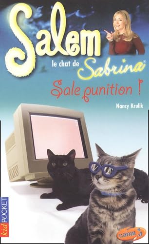 Salem, tome 12 : Sale punition 9782266117227