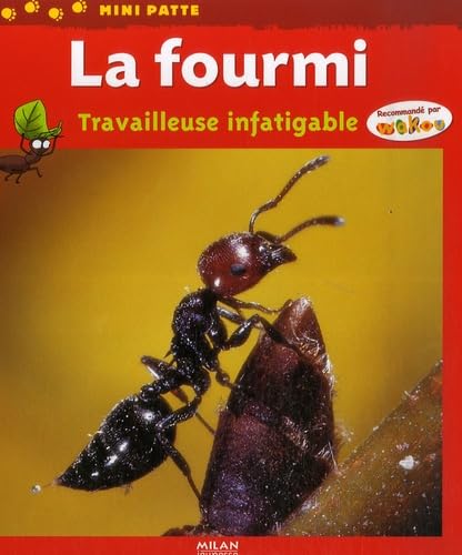 La fourmi: Travailleuse infatigable 9782745929051