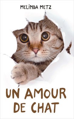 Un amour de chat 9782298140873