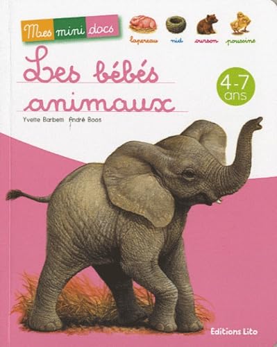 Les bébés animaux - Mes Mini Docs - Dès 4 ans 9782244428468