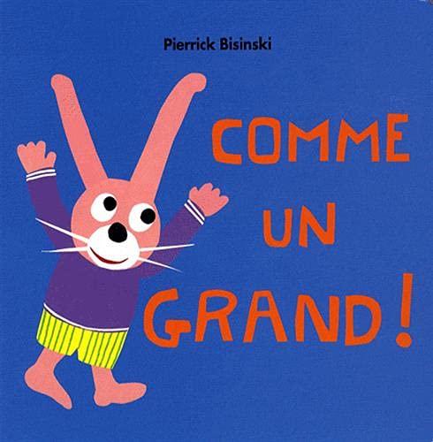 comme un grand 9782211092722