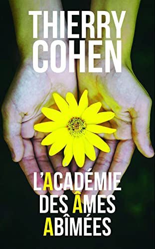 L'académie des âmes abîmées 9782298147223