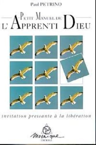 Petit manuel de l'apprenti dieu 9782909507057