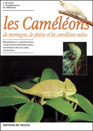 Les Cameleons De Montagne, De Plaine Et Les Cameleons Nains 9782732825755
