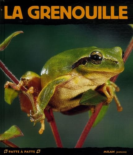 La grenouille 9782745922458