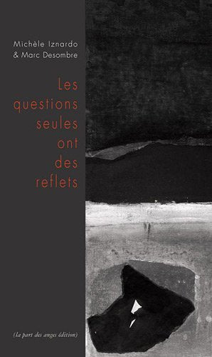 Les questions seules ont des reflets 9782912882325