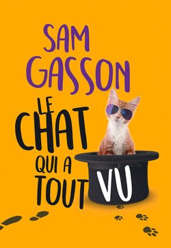 Le chat qui a tout vu 9782298124514
