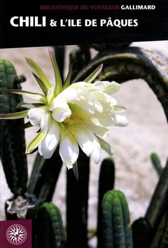 Chili et l'île de Pâques 9782742422029