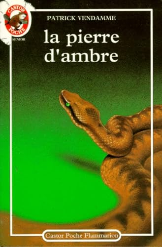 La pierre d'ambre 9782081621497