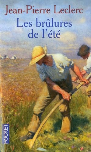 Les brûlures de l'été 9782266158275