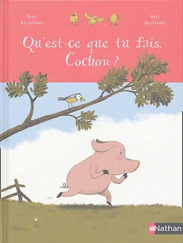 Qu'est ce que tu fait cochon ? 9782092502501