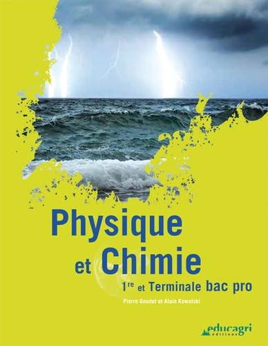 Physique et chimie 1e et terminale Bac Pro 9782844448330