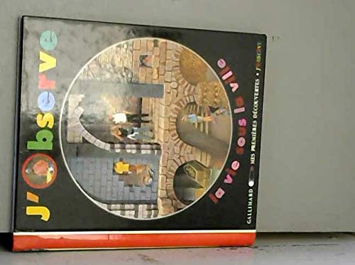 J'observe la vie sous la ville 9782070513246