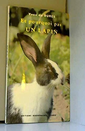 Et pourquoi pas un lapin 022897 9782851822833