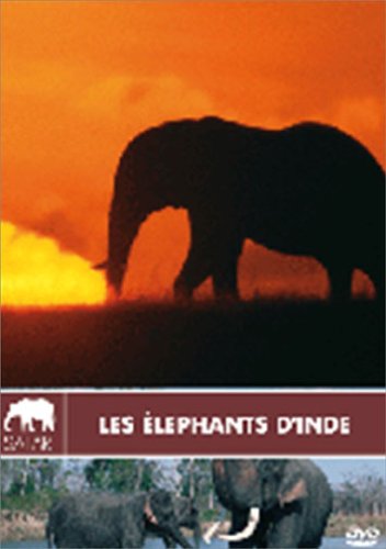 Les Eléphants d'Inde 3760129260170
