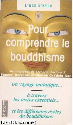 Pour comprendre le bouddhisme: Une initiation à travers les textes essentiels 9782266064743