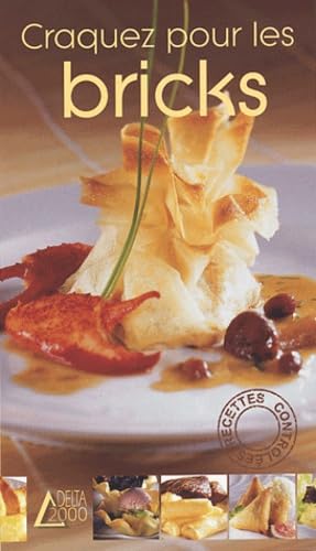 Craquez pour les bricks 9782737220975
