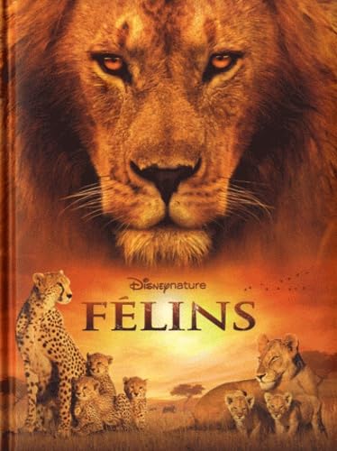 Félins 9782014639940