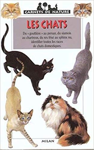 Les chats 9782841135684