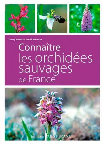 Connaître les orchidées sauvages de France 9782737366734