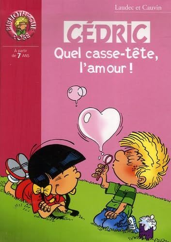 Quel casse-tête, l'amour ! 9782012011717